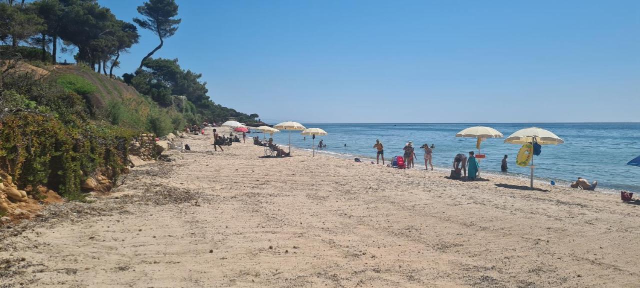 Vila Jungle House - Pineta Is Morus Santa Margherita di Pula Exteriér fotografie
