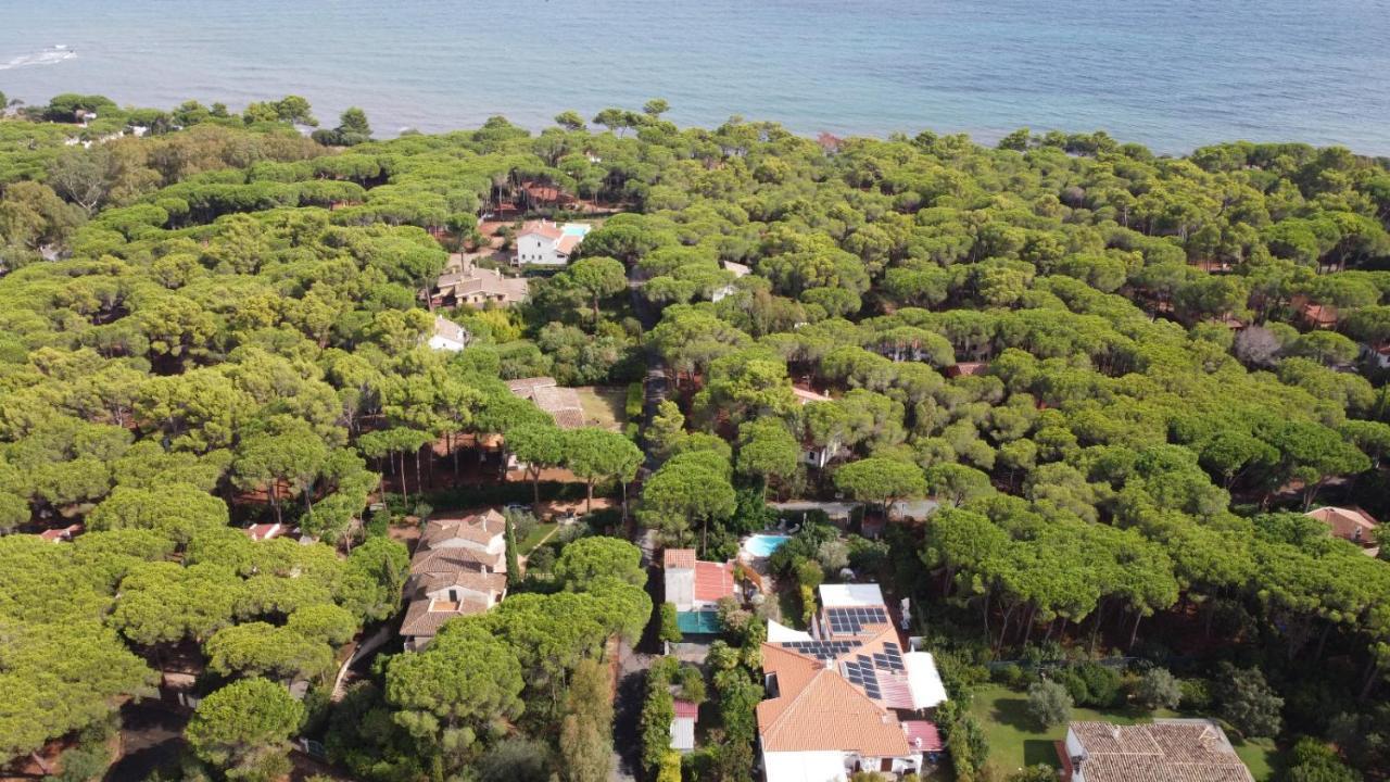 Vila Jungle House - Pineta Is Morus Santa Margherita di Pula Exteriér fotografie