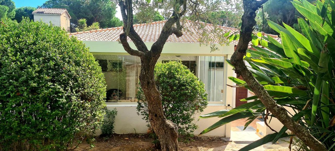 Vila Jungle House - Pineta Is Morus Santa Margherita di Pula Exteriér fotografie