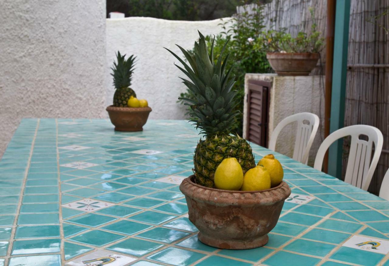 Vila Jungle House - Pineta Is Morus Santa Margherita di Pula Exteriér fotografie