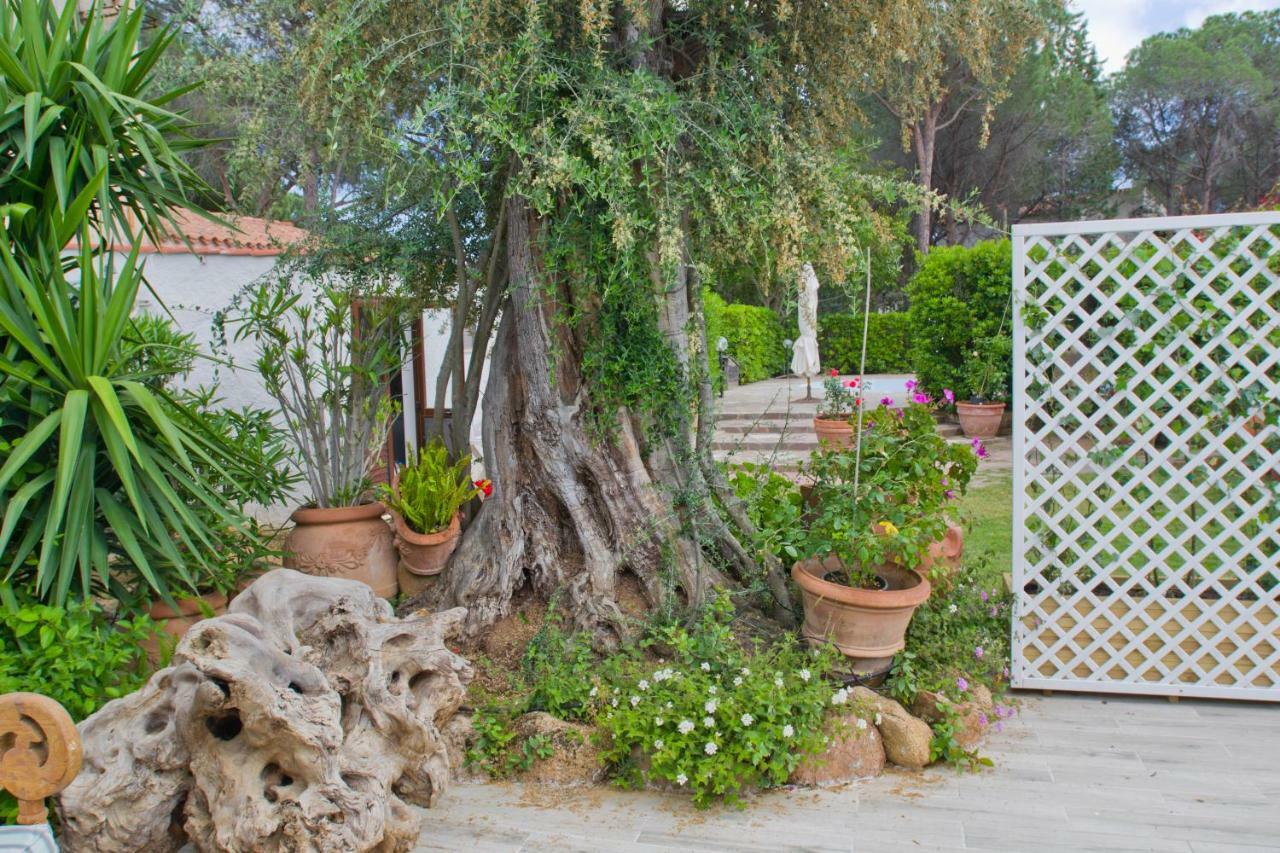 Vila Jungle House - Pineta Is Morus Santa Margherita di Pula Exteriér fotografie